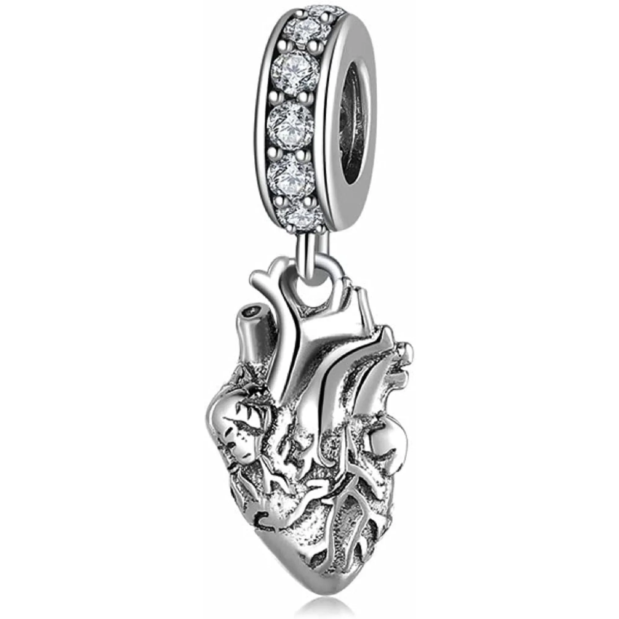 Anatomical Heart Organ Dangle Pendant Charm