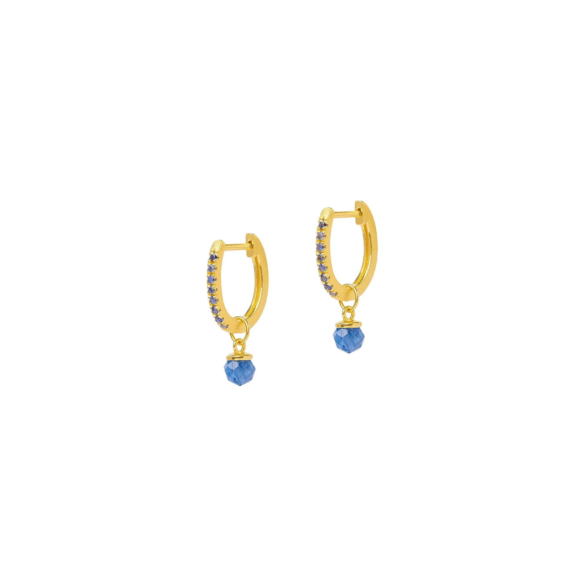 Bernd Wolf Collection "Dingdong" Kyanite Earrings