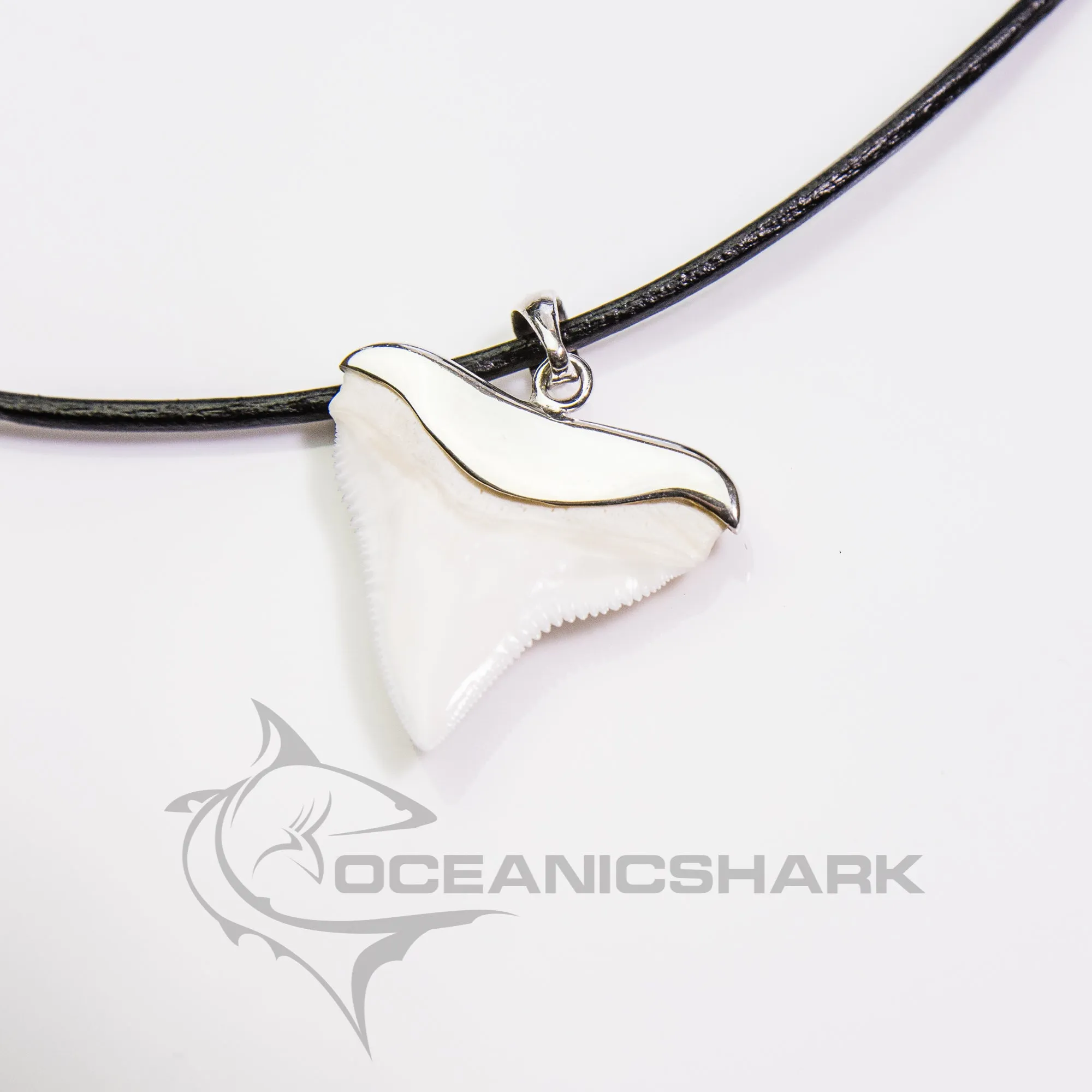 Bull Shark Tooth Necklace Silver Opal s5