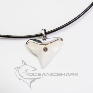 Bull Shark Tooth Necklace Silver Opal s5