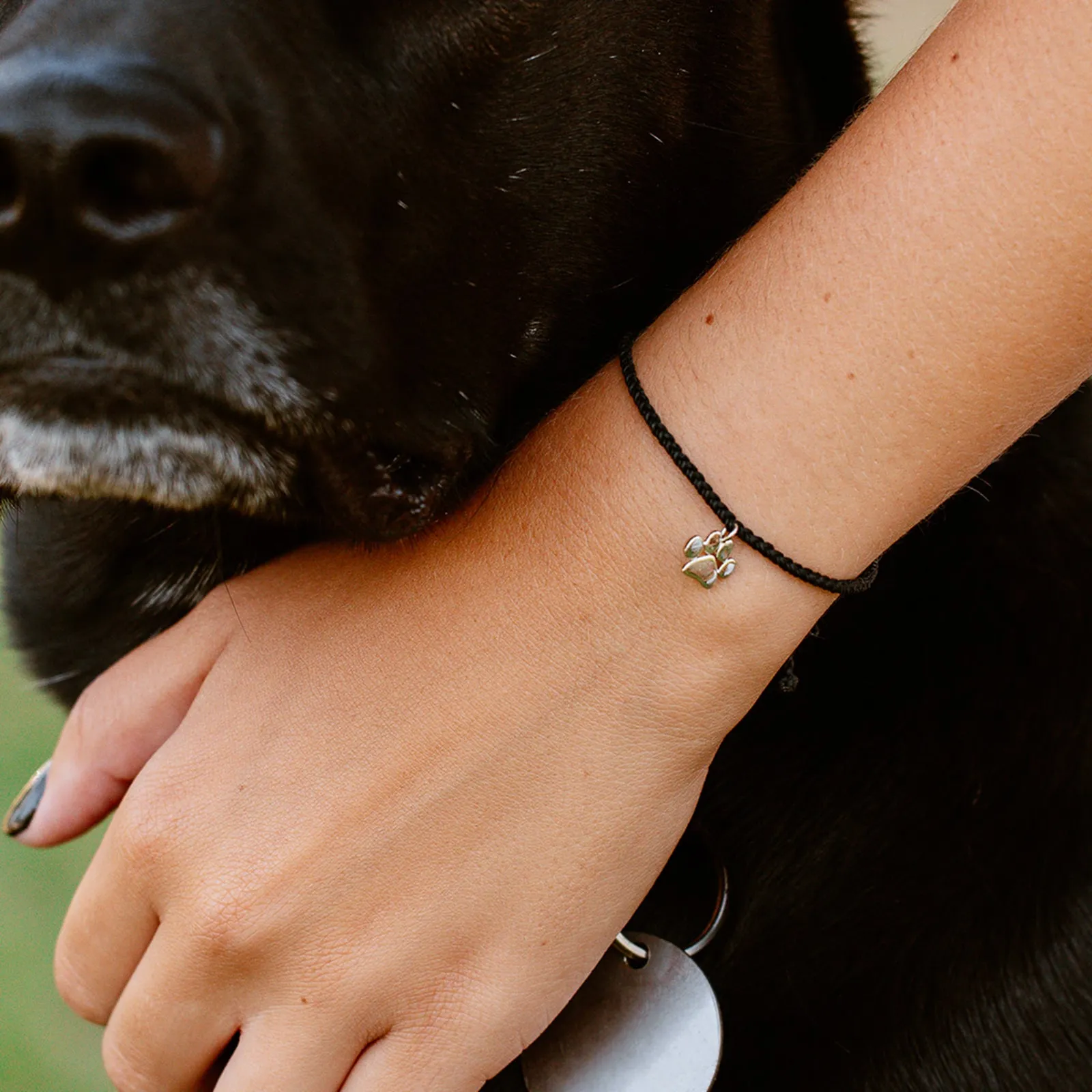 Paw Print Charm Bracelet