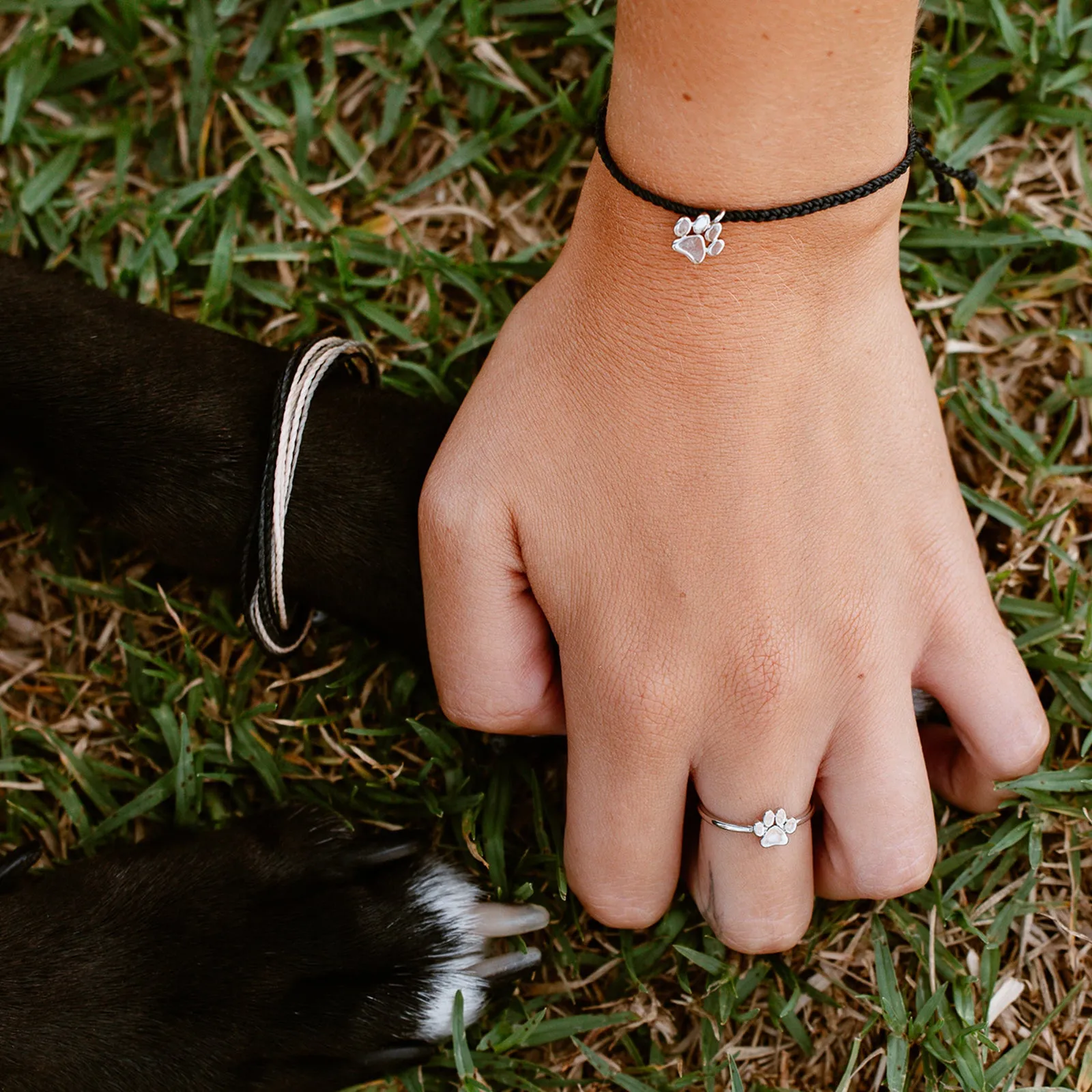 Paw Print Charm Bracelet