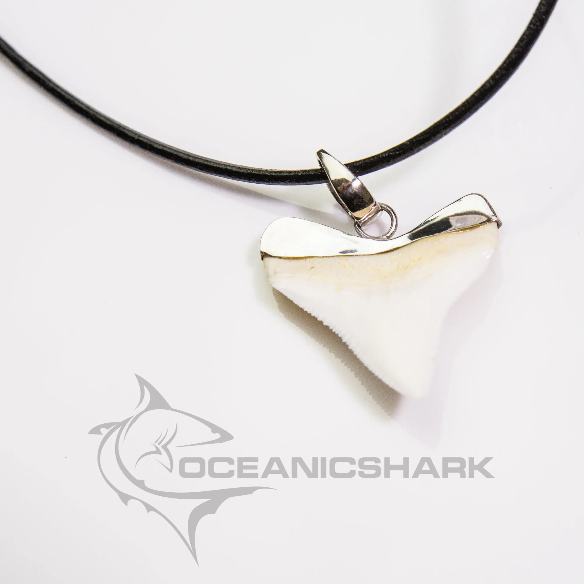 SALE Extra Large Bull Shark tooth in silver s13