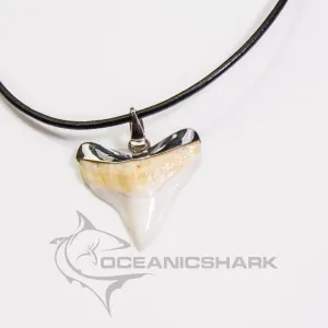 SALE Extra Large Bull Shark tooth in silver s13