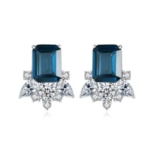 Silver Earrings "Diligence"