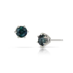 Six Prong Sapphire Studs