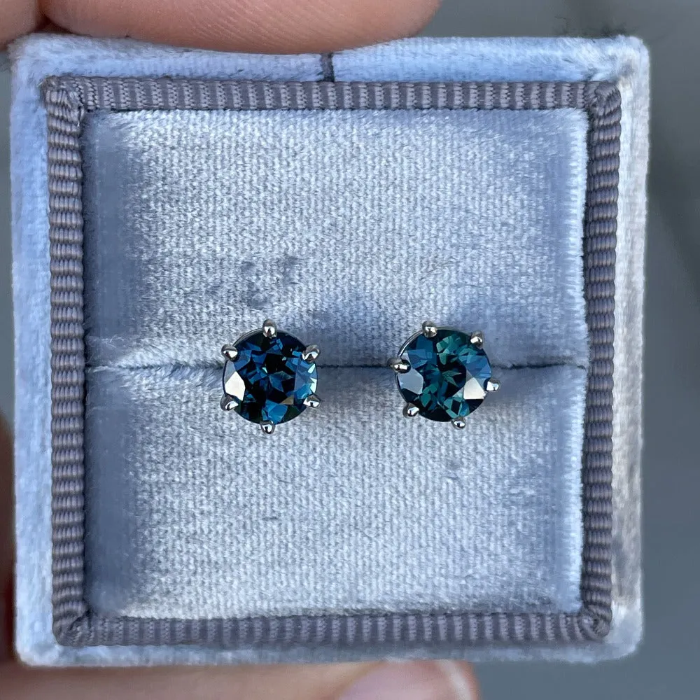 Six Prong Sapphire Studs