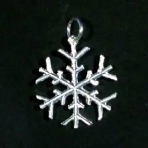 Sterling Silver Snowflake Charm  or Earrings