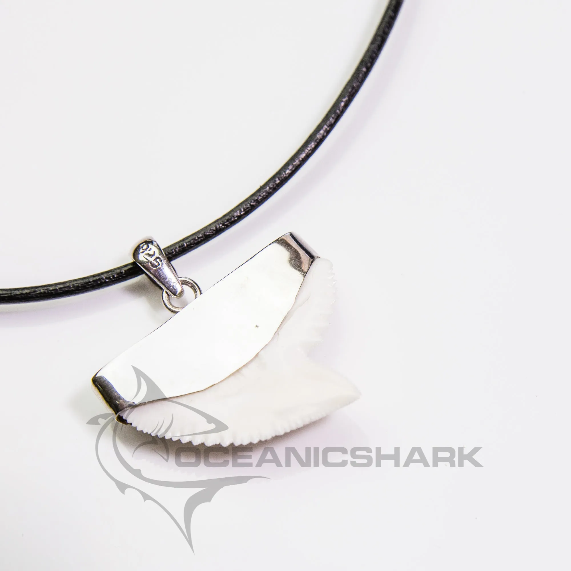 Tiger Shark Tooth Necklace For Sale s23