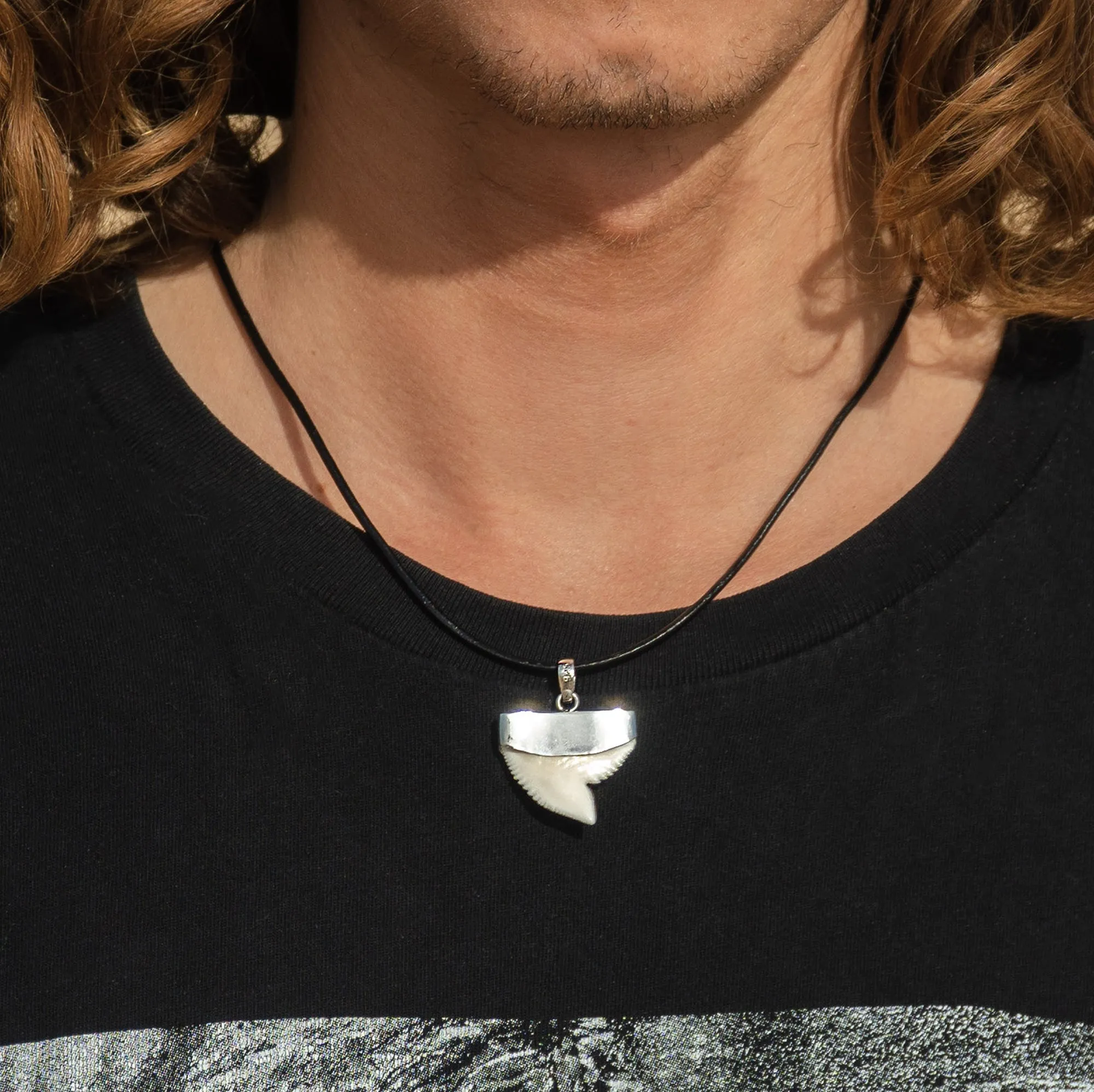Tiger Shark Tooth Necklace For Sale s23