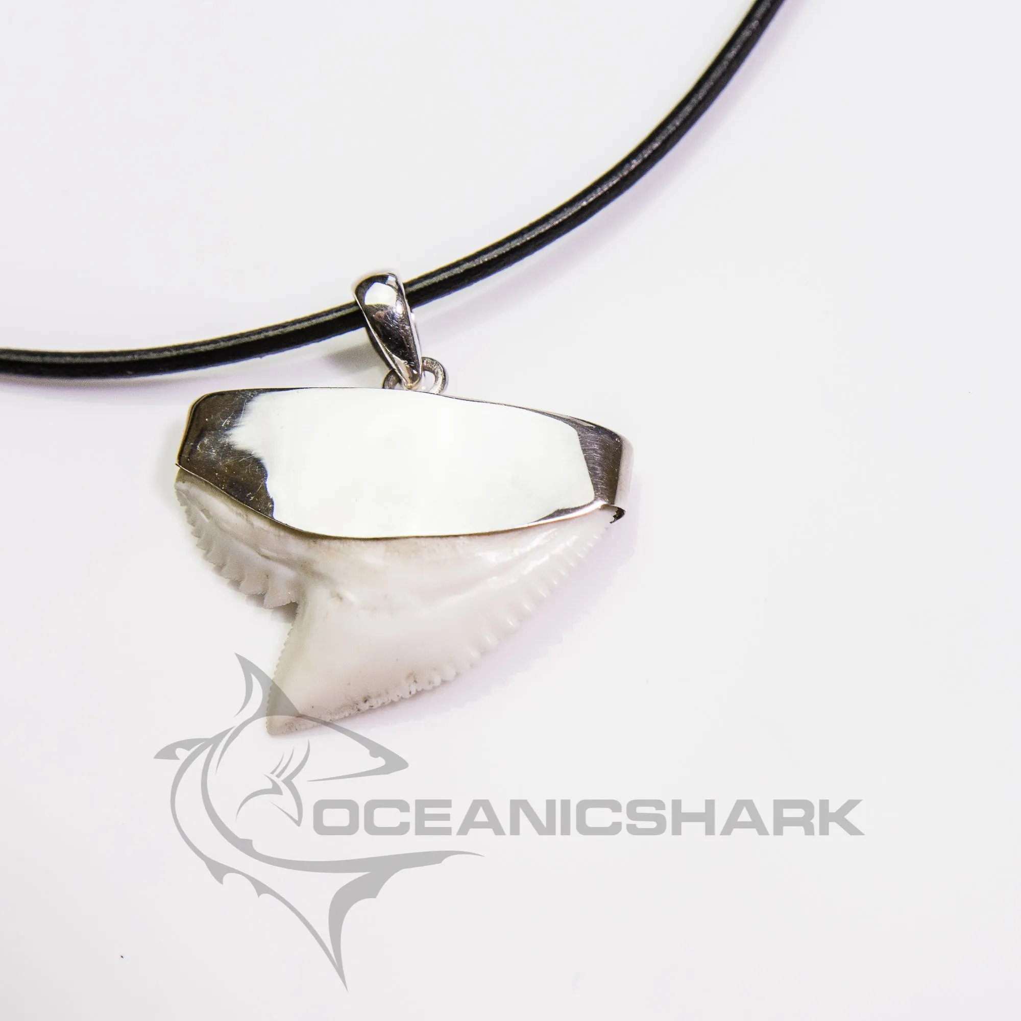 Tiger Shark Tooth Necklace For Sale s23