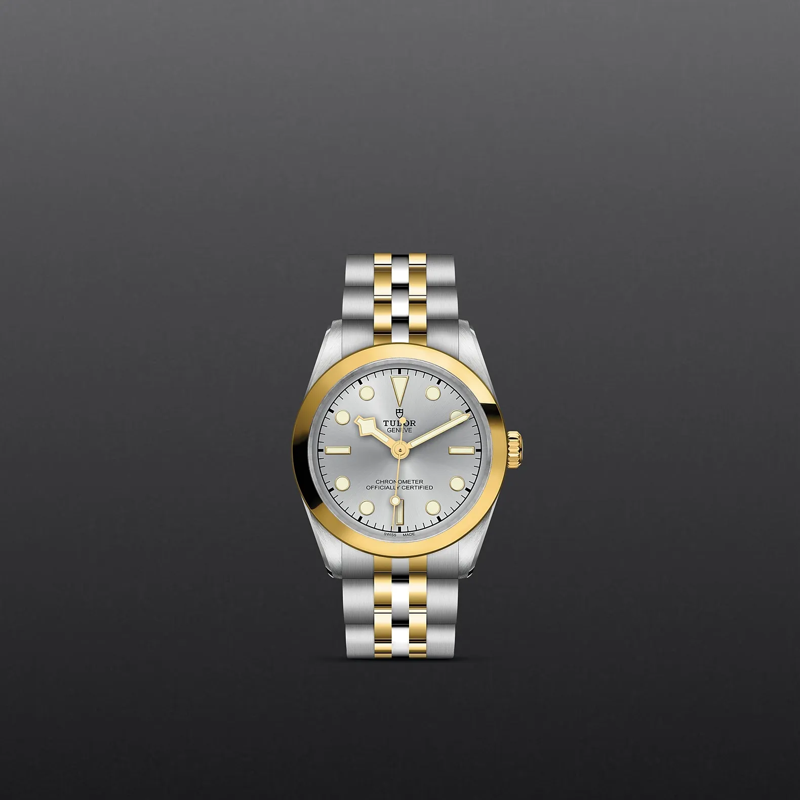 Tudor Black Bay 31 S&G