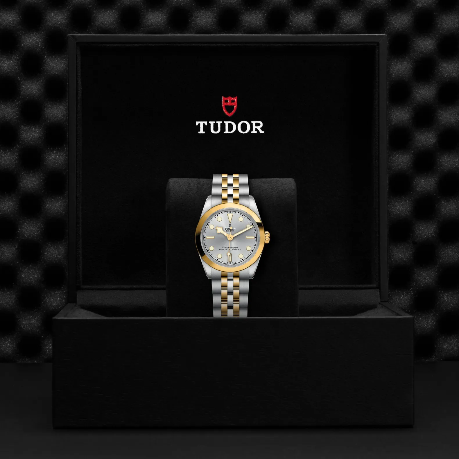 Tudor Black Bay 31 S&G