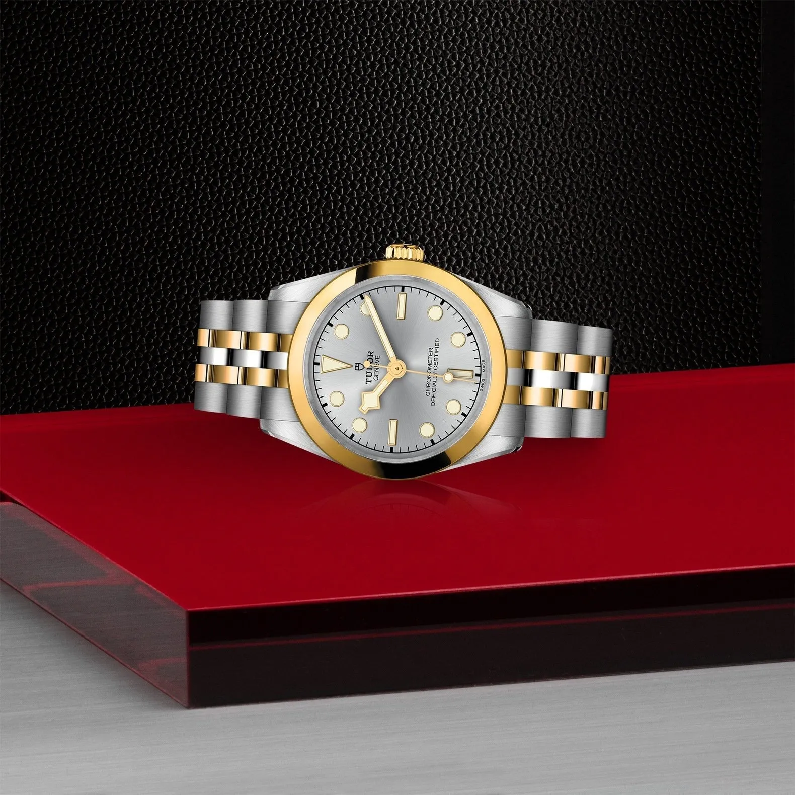Tudor Black Bay 31 S&G