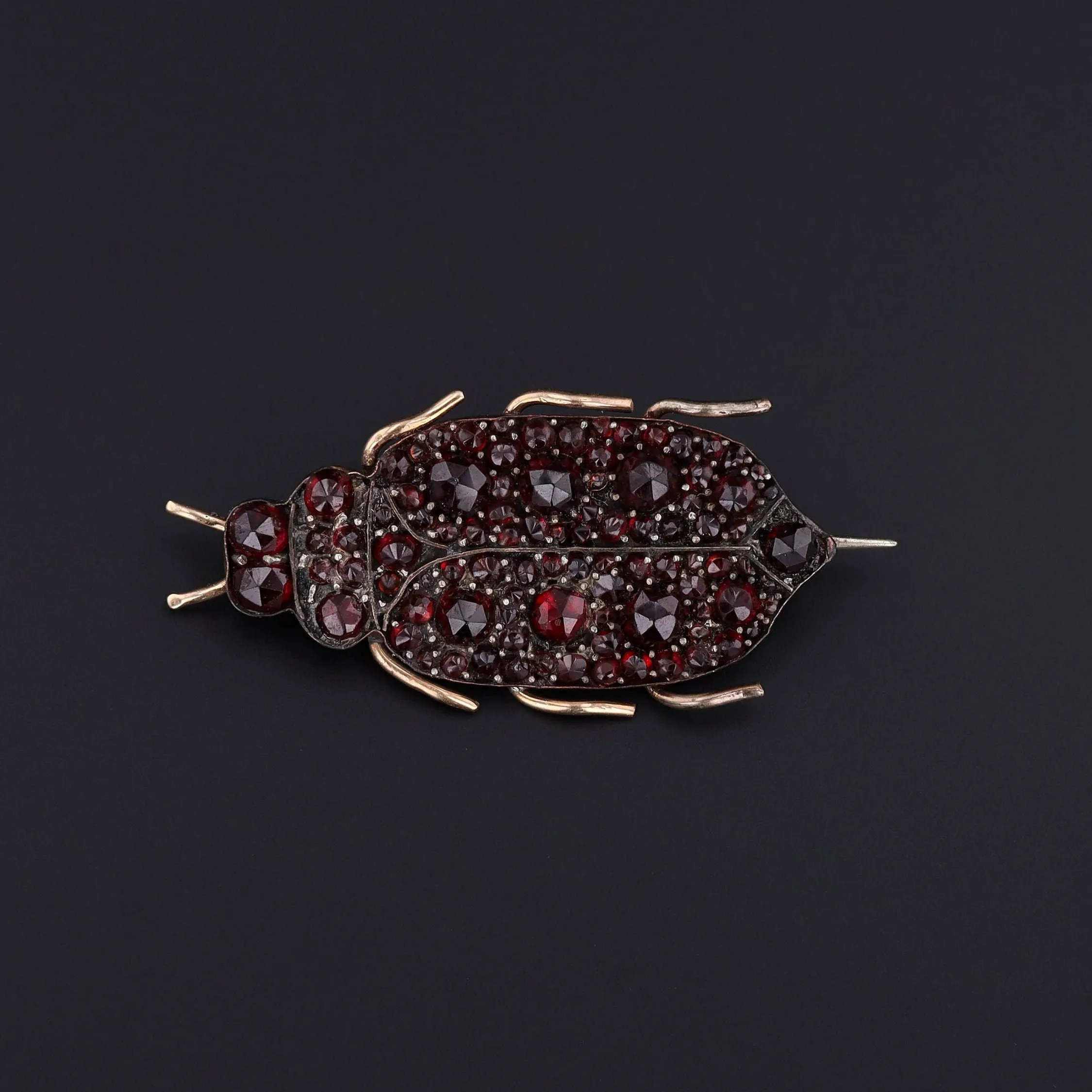 Victorian Bohemian Garnet Insect Brooch