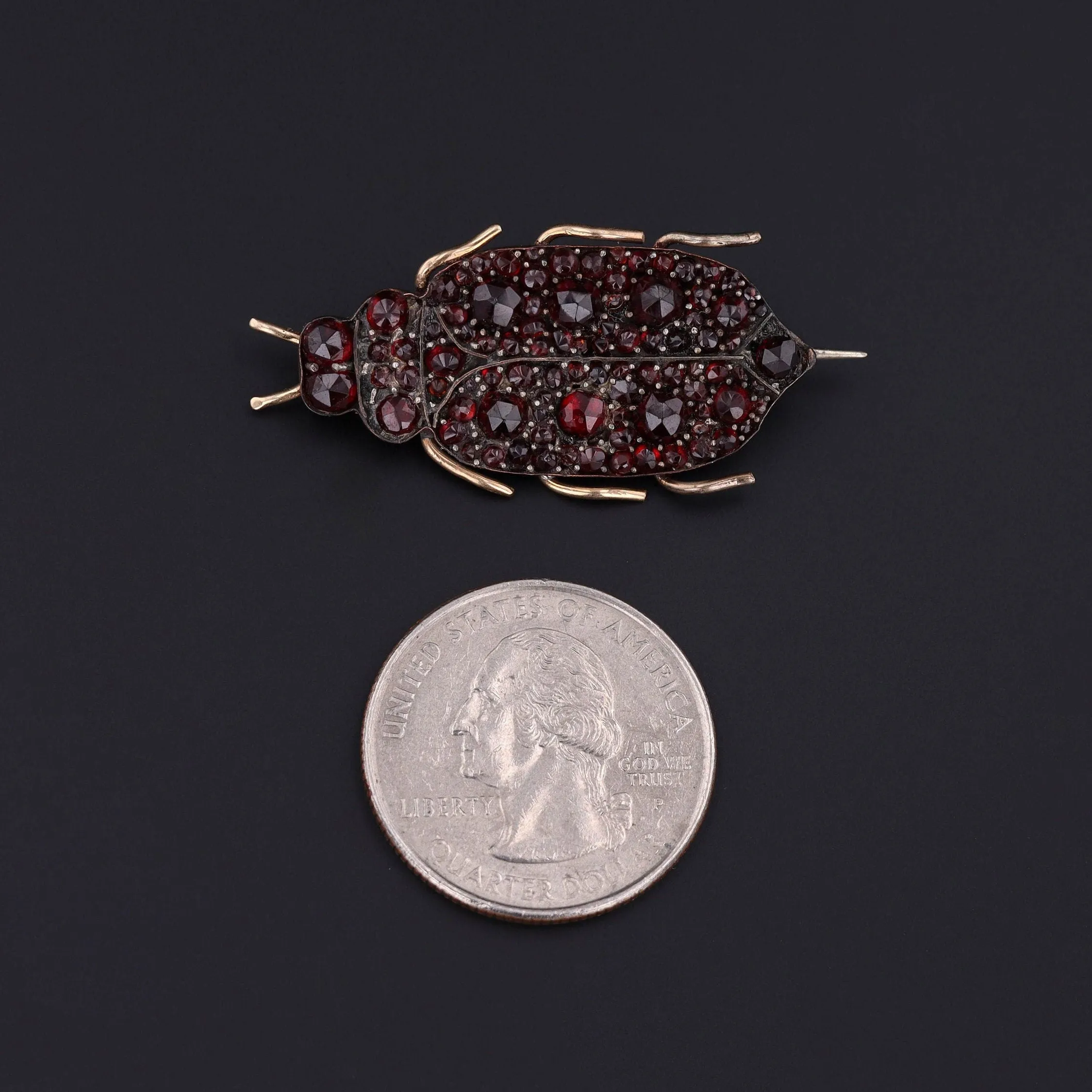 Victorian Bohemian Garnet Insect Brooch