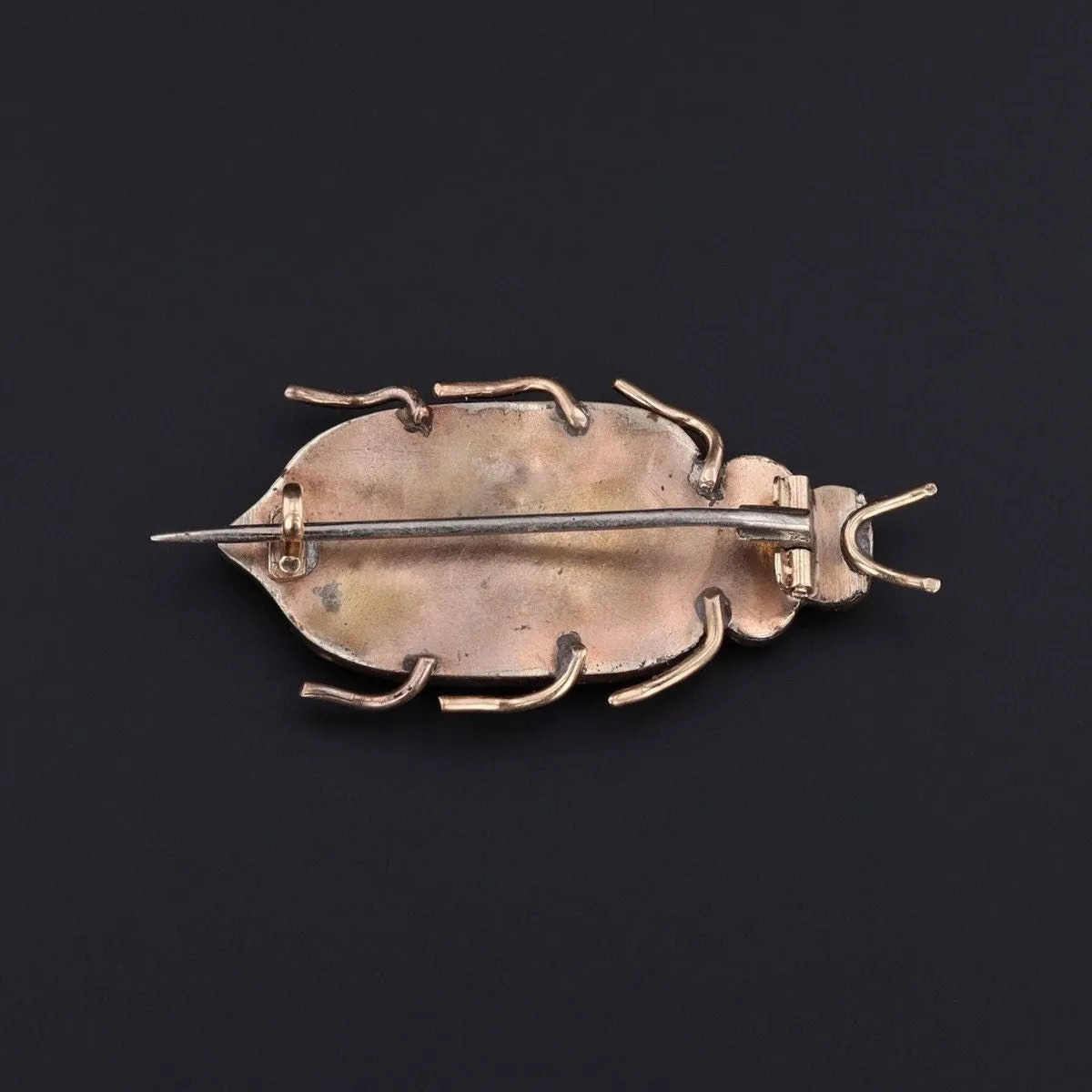 Victorian Bohemian Garnet Insect Brooch
