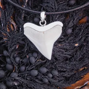 White Shark Tooth In Silver s12