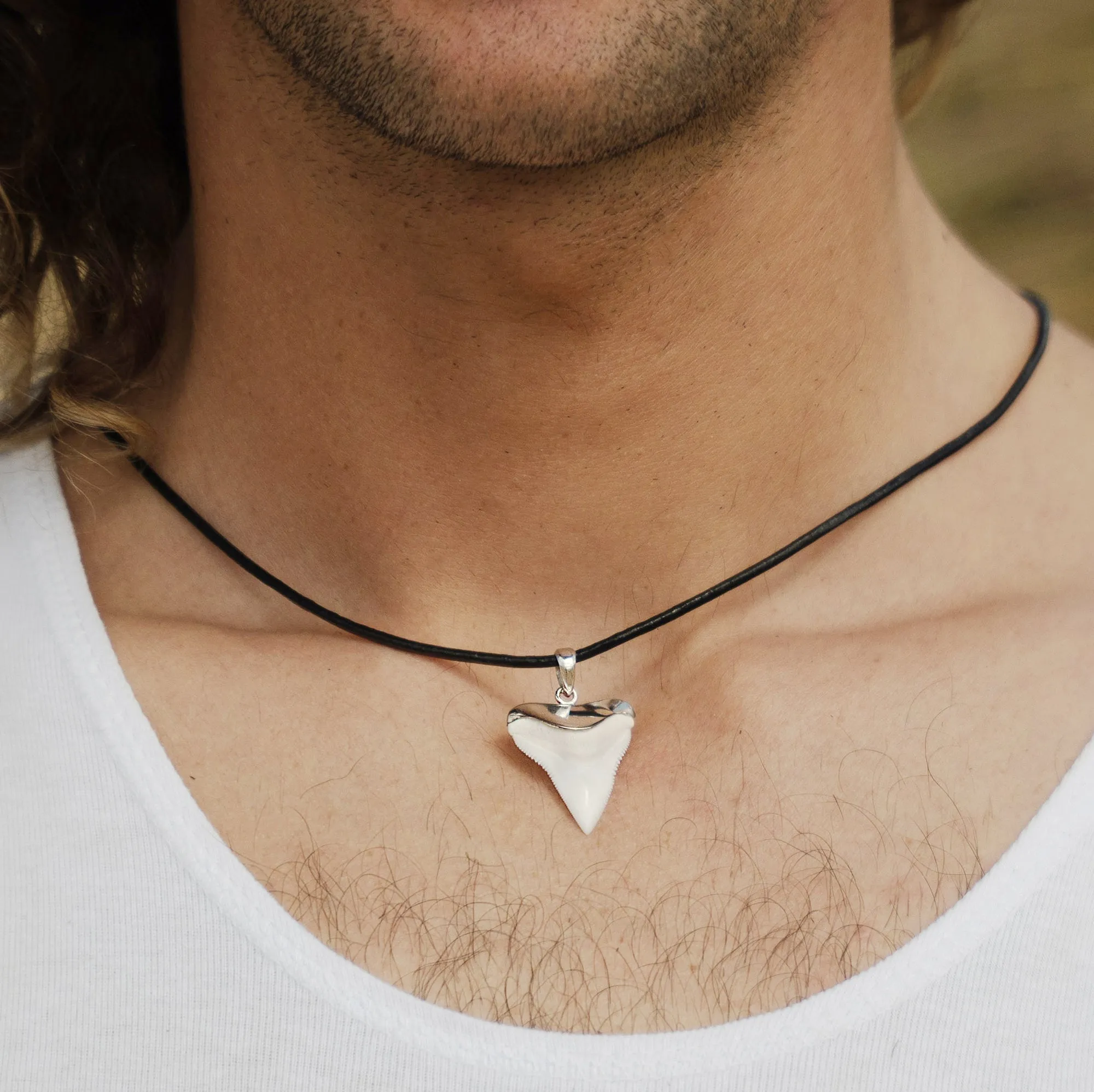 White Shark Tooth In Silver s12